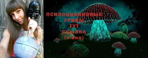 дмт Алексин