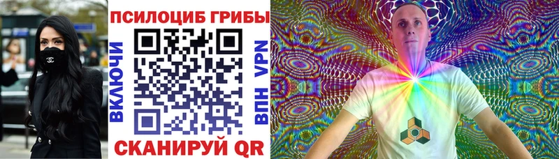 Псилоцибиновые грибы мицелий  Бежецк 